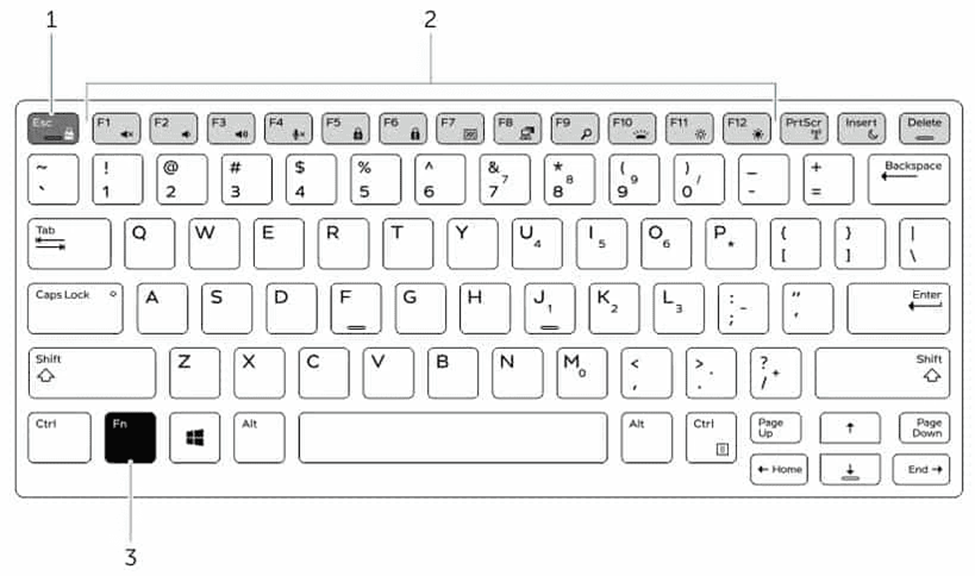 Fn key and function keys on a keyboard