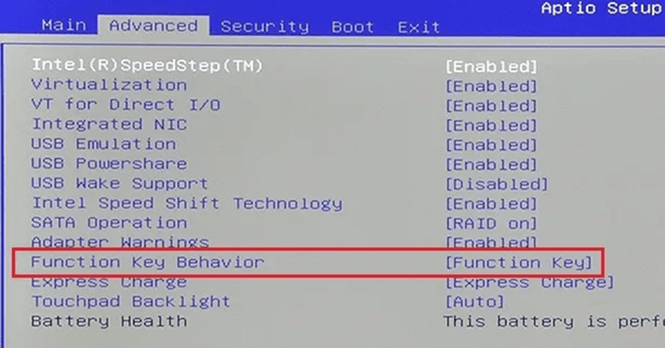 Function Key Behavior setting in earlier Dell BIOS