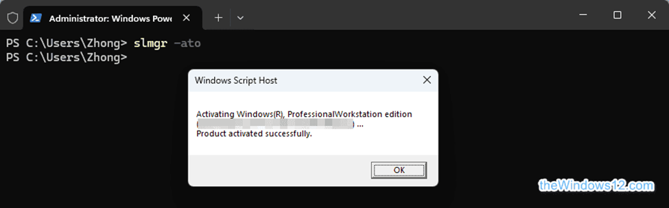 Windows Professional Workstation activated